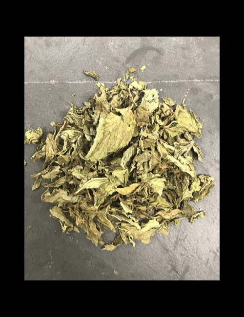 TISANE MENTHE BIO MAITRE TISANIER