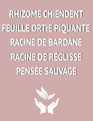 tisane bio cure detox maitre tisanier