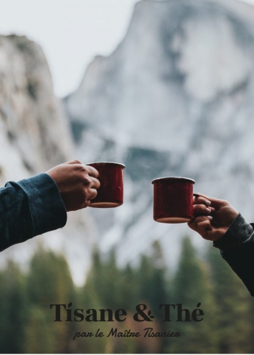 Cure détox BIO tisane-et-thé.fr maitre tisanier