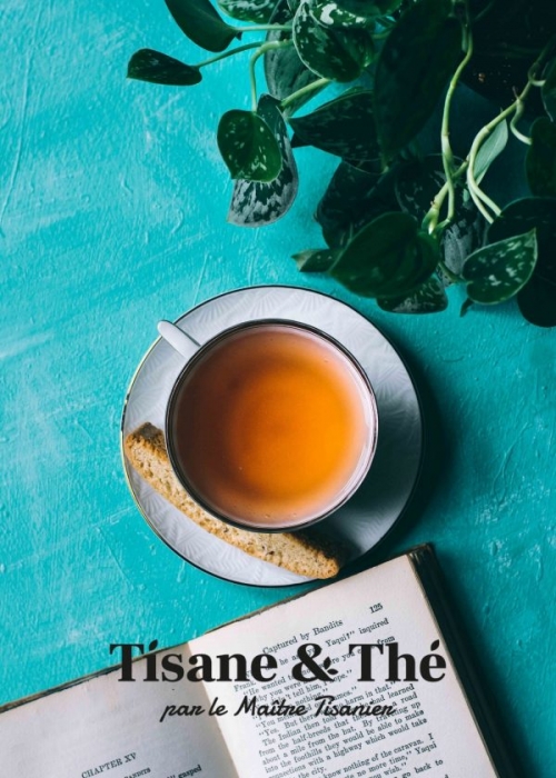 tisane bio tisane-et-thé.fr maitre tisanier sommeil